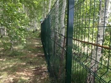 заборы в секциях